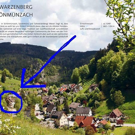 Adieu Alltag: Pension Oesterle Im Schwarzwald Schonmunzach Luaran gambar