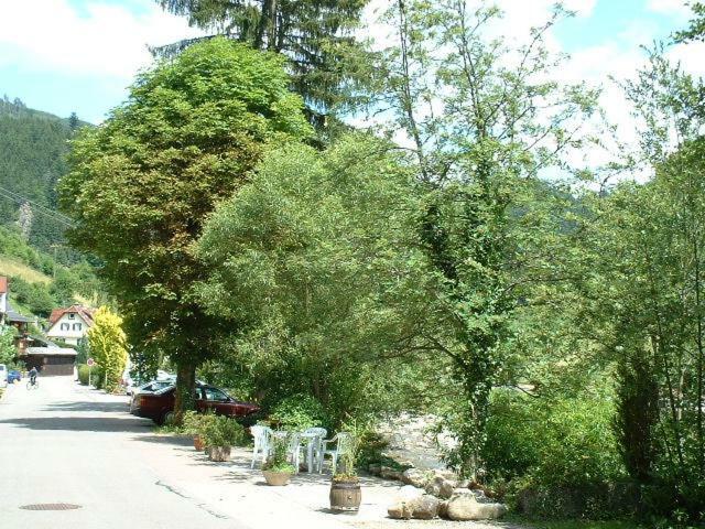 Adieu Alltag: Pension Oesterle Im Schwarzwald Schonmunzach Luaran gambar