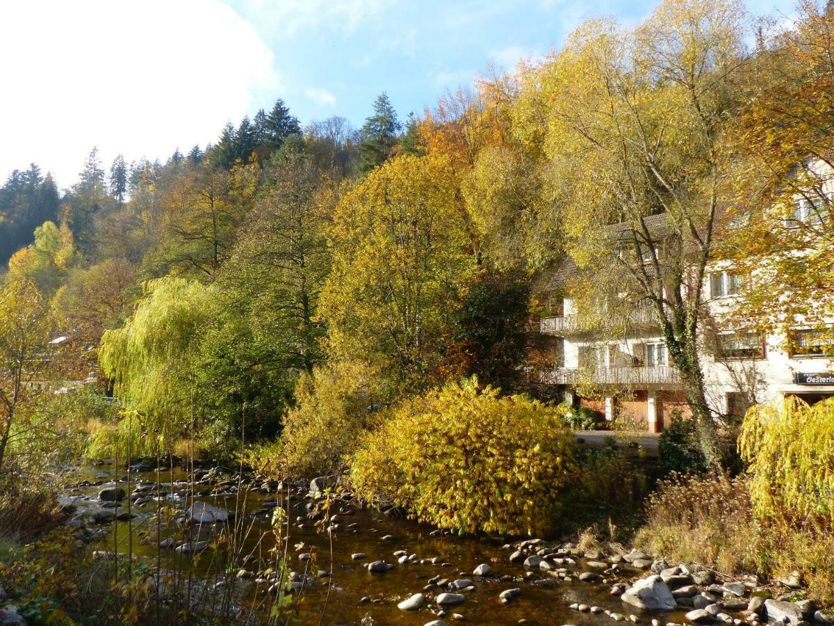 Adieu Alltag: Pension Oesterle Im Schwarzwald Schonmunzach Luaran gambar