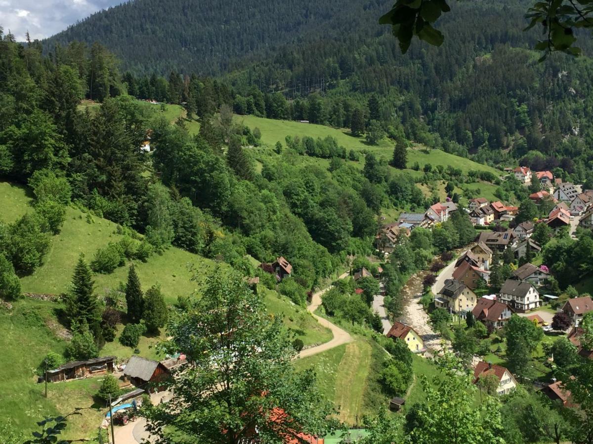 Adieu Alltag: Pension Oesterle Im Schwarzwald Schonmunzach Luaran gambar
